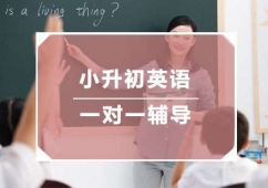 С����Ӣ�Zһ��һ�o��(d��o)