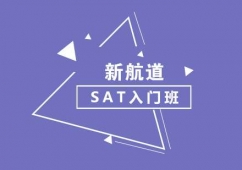 SAT���T1250��