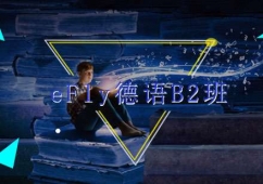 eFly���ZB2��