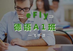 eFly���ZA1��