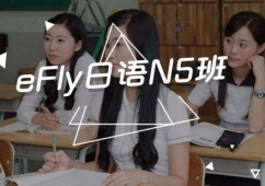 eFly���ZN5��