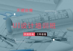 ����UI�OӋ��Ӗ�ٳɰ�