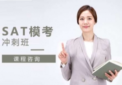 SAT��ǰģ���_�̰�