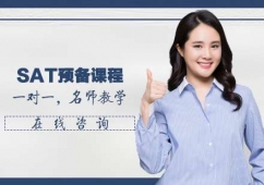 SAT�A���n��