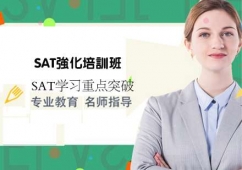 �ό�SAT������Ӗ��