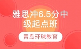 ��˼�_6.5���м����c��