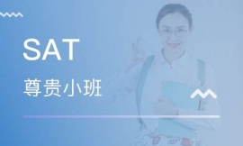 SAT 3-5�����FС��ϵ��