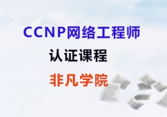 CCNP�J�C�W�j���̎�